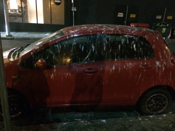 Illustration de l'article : 28 personnes qui passent certainement une plus mauvaise journée que vous!