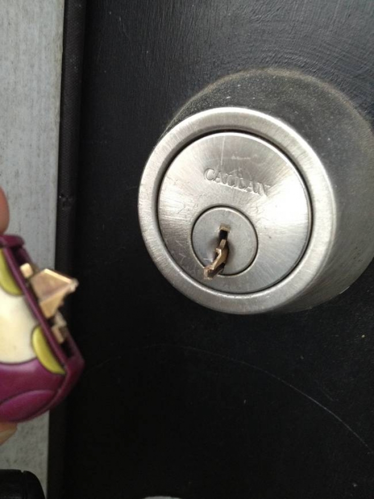 Illustration de l'article : 28 personnes qui passent certainement une plus mauvaise journée que vous!