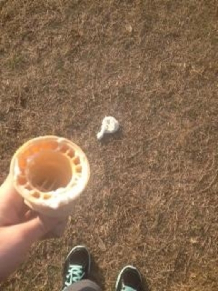 Illustration de l'article : 28 personnes qui passent certainement une plus mauvaise journée que vous!