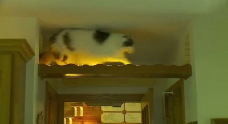 Illustration de l'article : L'int&eacute;rieur de cette maison renferme un secret magnifique...Petite visite guid&eacute;e !