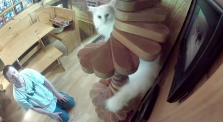 Illustration de l'article : L'int&eacute;rieur de cette maison renferme un secret magnifique...Petite visite guid&eacute;e !