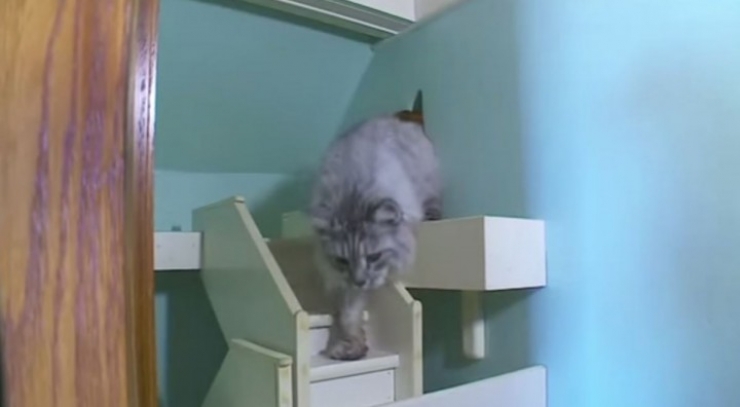 Illustration de l'article : L'int&eacute;rieur de cette maison renferme un secret magnifique...Petite visite guid&eacute;e !