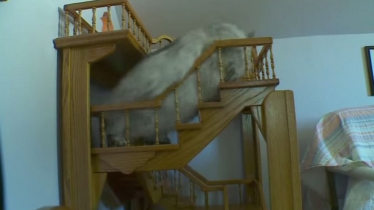 Illustration de l'article : L'int&eacute;rieur de cette maison renferme un secret magnifique...Petite visite guid&eacute;e !