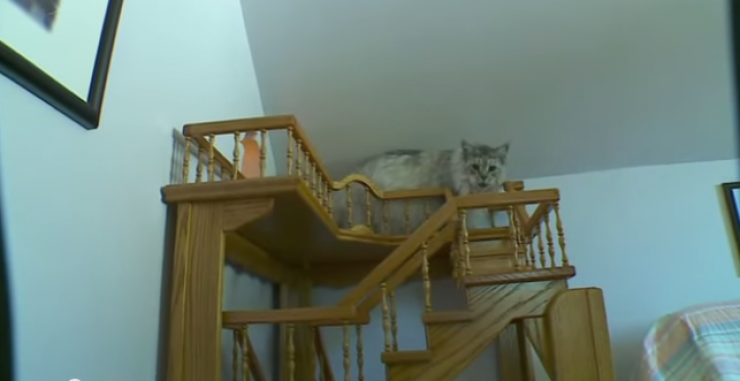 Illustration de l'article : L'int&eacute;rieur de cette maison renferme un secret magnifique...Petite visite guid&eacute;e !