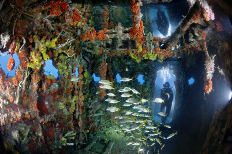 Illustration de l'article : Ces anciens wagons du m&eacute;tro new-yorkais sont jet&eacute;s dans la mer. Quand vous saurez pourquoi, vous serez surpris !