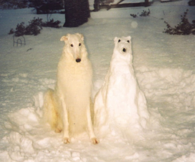 Illustration de l'article : 22 scultpures sur neige toutes aussi originales les unes que les autres