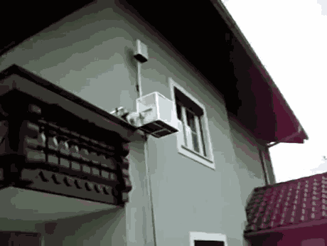 Illustration de l'article : Ces 14 chats mènent la belle vie