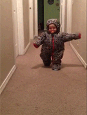 Illustration de l'article : 17 animaux qui se comportent comme des malotrus! Faites attention!