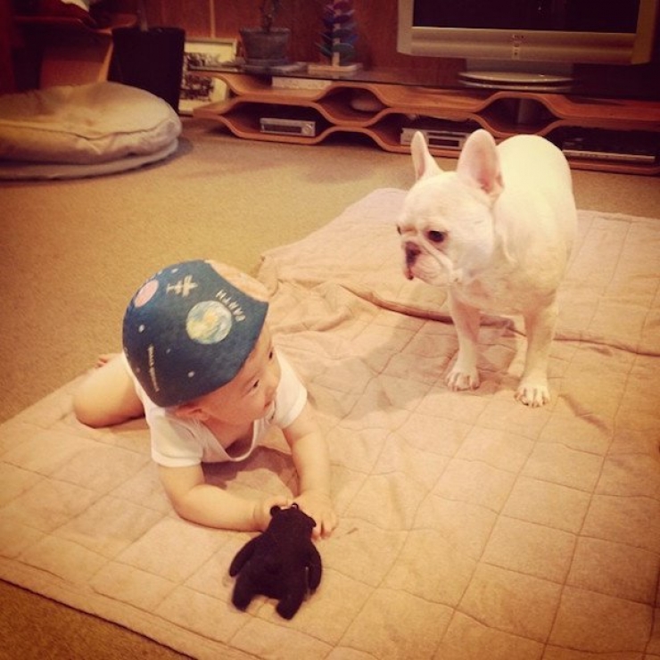 Illustration de l'article : Deux fr&egrave;res et un chien : d&eacute;couvrez cet adorable trio en 16 magnifiques photos