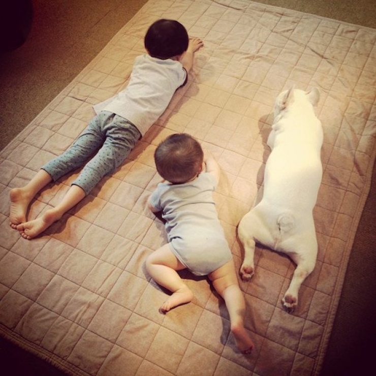 Illustration de l'article : Deux fr&egrave;res et un chien : d&eacute;couvrez cet adorable trio en 16 magnifiques photos