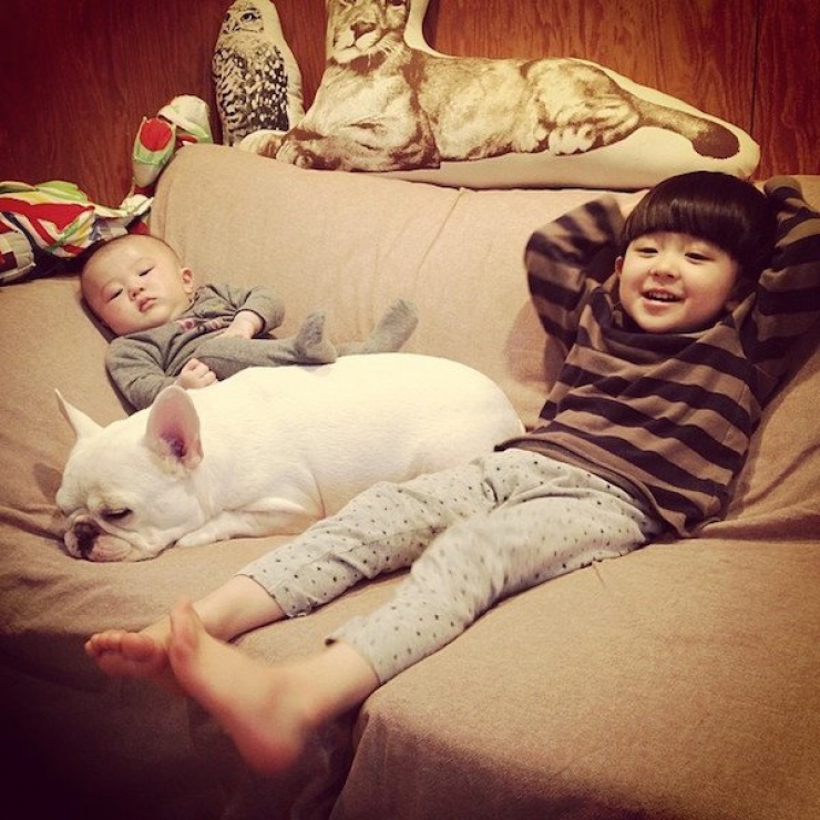 Illustration de l'article : Deux fr&egrave;res et un chien : d&eacute;couvrez cet adorable trio en 16 magnifiques photos