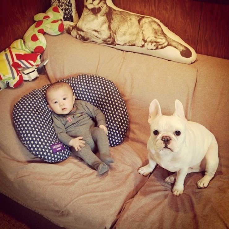 Illustration de l'article : Deux fr&egrave;res et un chien : d&eacute;couvrez cet adorable trio en 16 magnifiques photos