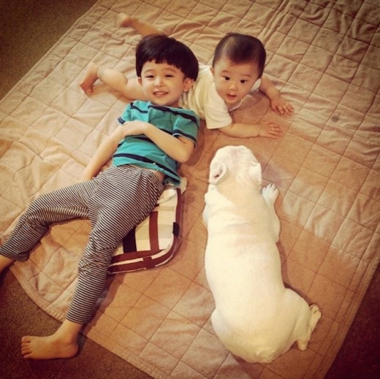 Illustration de l'article : Deux fr&egrave;res et un chien : d&eacute;couvrez cet adorable trio en 16 magnifiques photos