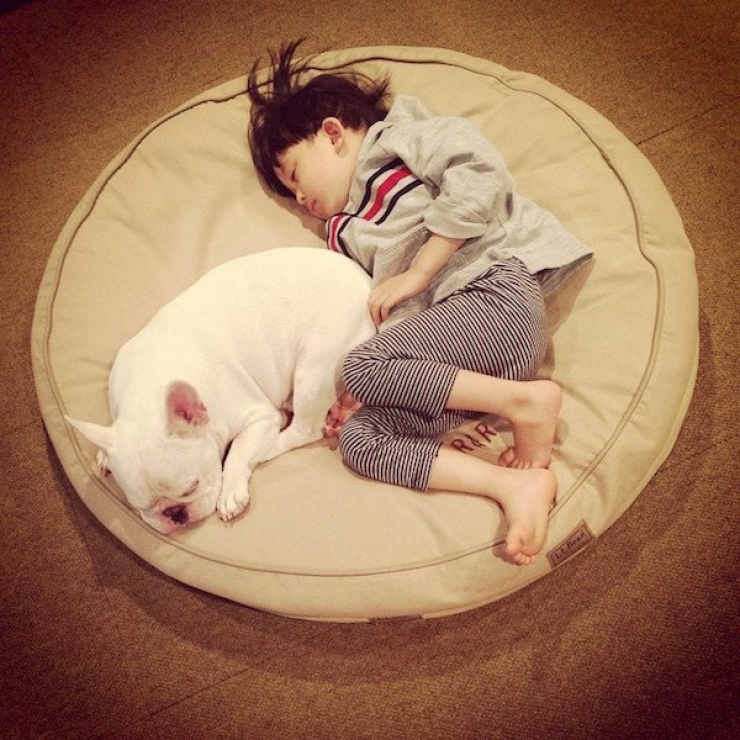 Illustration de l'article : Deux fr&egrave;res et un chien : d&eacute;couvrez cet adorable trio en 16 magnifiques photos