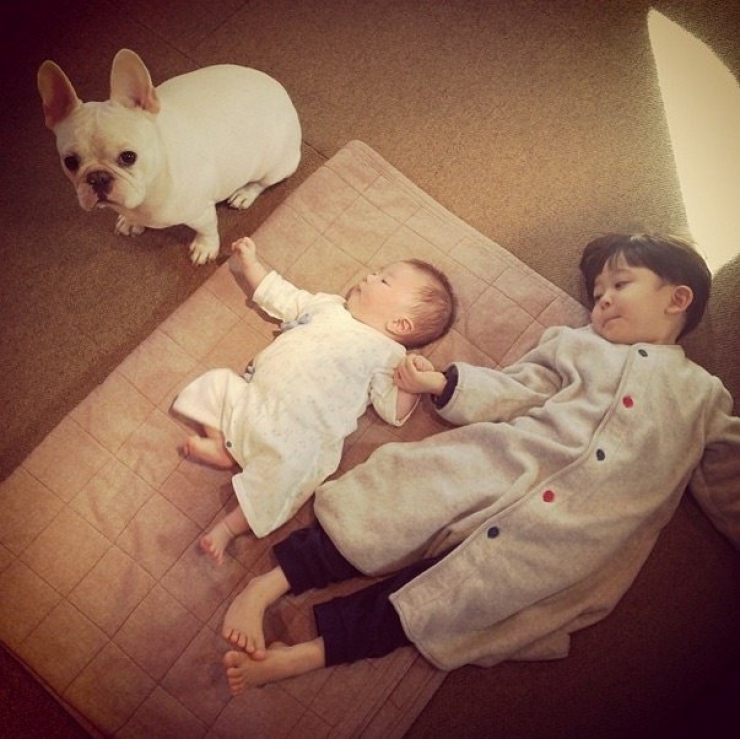 Illustration de l'article : Deux fr&egrave;res et un chien : d&eacute;couvrez cet adorable trio en 16 magnifiques photos