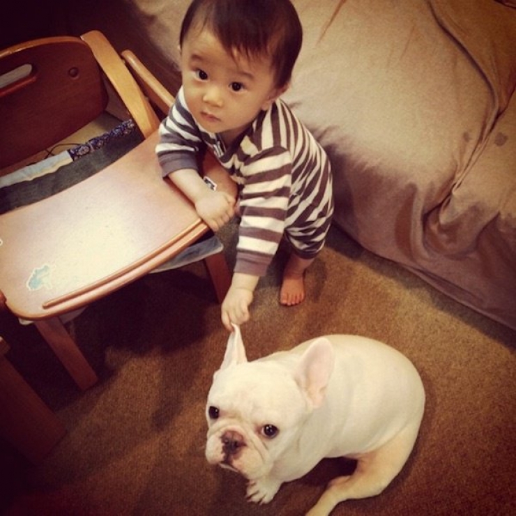 Illustration de l'article : Deux fr&egrave;res et un chien : d&eacute;couvrez cet adorable trio en 16 magnifiques photos