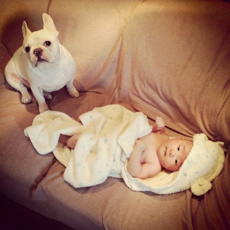 Illustration de l'article : Deux fr&egrave;res et un chien : d&eacute;couvrez cet adorable trio en 16 magnifiques photos