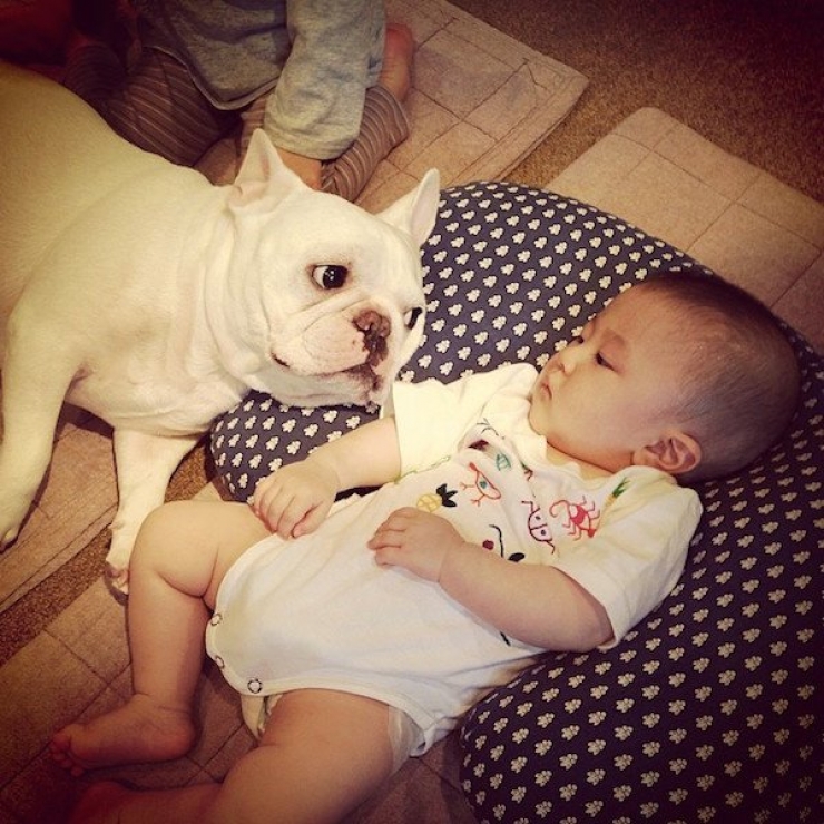 Illustration de l'article : Deux fr&egrave;res et un chien : d&eacute;couvrez cet adorable trio en 16 magnifiques photos