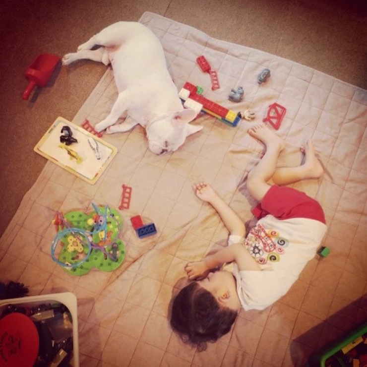 Illustration de l'article : Deux fr&egrave;res et un chien : d&eacute;couvrez cet adorable trio en 16 magnifiques photos