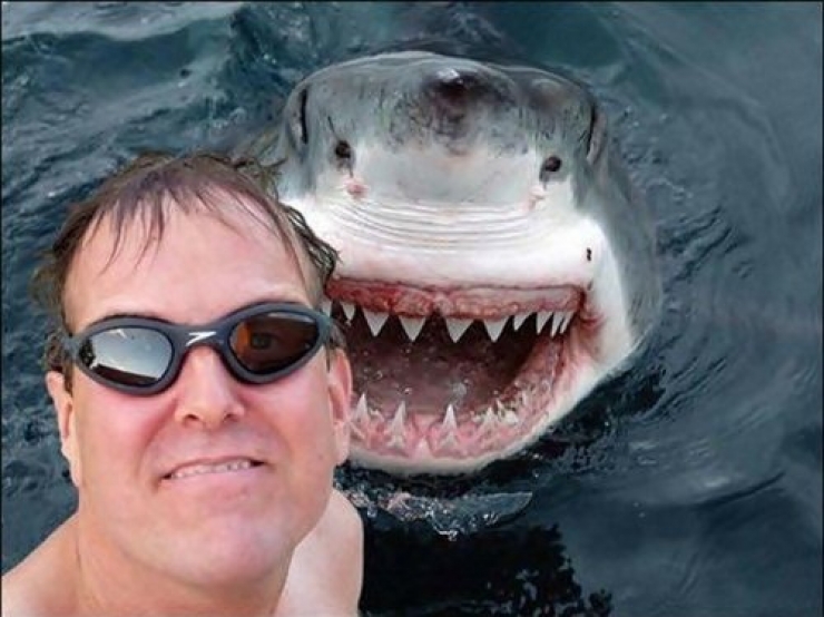 Illustration de l'article : Top 16 des photos les plus drôles entre animaux et humains!