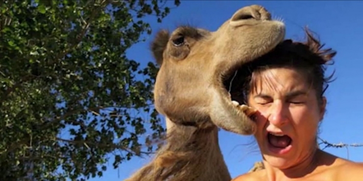 Illustration de l'article : Top 16 des photos les plus drôles entre animaux et humains!