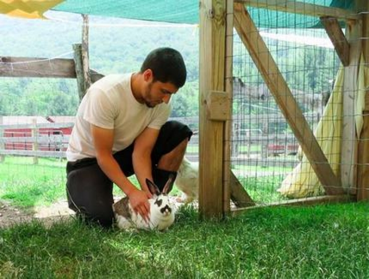 Illustration de l'article : Ce lapin de laboratoire sent l'odeur de l'herbe pour la premi&egrave;re fois de sa vie