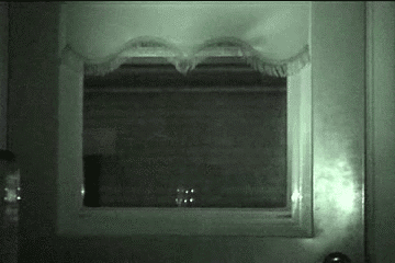 Illustration de l'article : Ces 12 chats sont très remontés. Attention, ça va griffer sec !