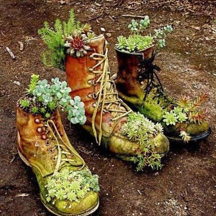 Illustration de l'article : 11 nouvelles id&eacute;es pour les amoureux du jardinage