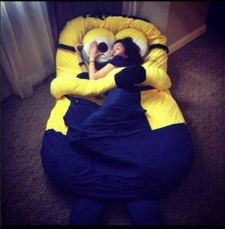 Illustration de l'article : 10 photos pour les amoureux des Minions.