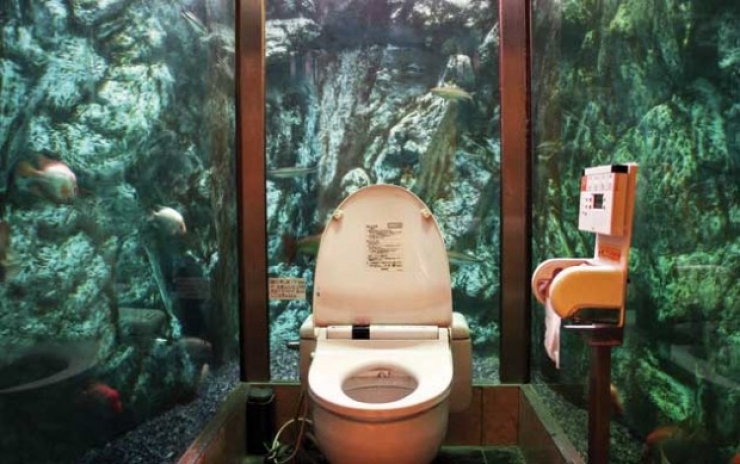 Illustration de l'article : les 11 photos de toilettes les plus bizarres au monde
