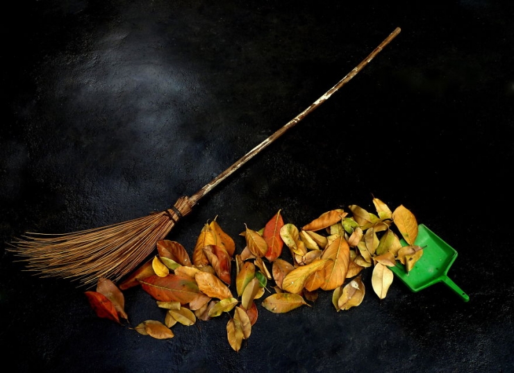 Illustration de l'article : L'art spontan&eacute; de Mysha Islam (15 photos)