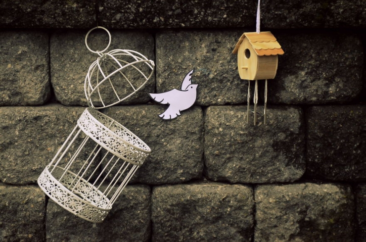 Illustration de l'article : L'art spontan&eacute; de Mysha Islam (15 photos)