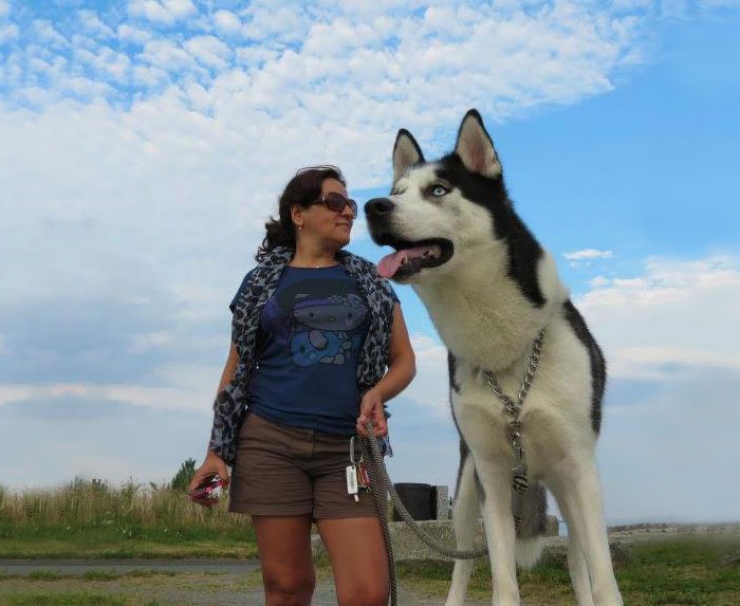 Illustration de l'article : Quand timing et perspective s'associent pour transformer vos toutous en chiens g&eacute;ants (15 photos)