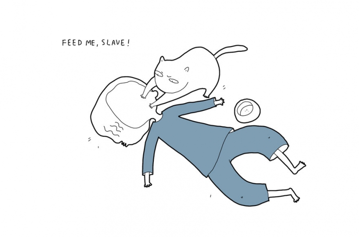 Illustration de l'article : Si votre chat pouvait parler (7 photos)