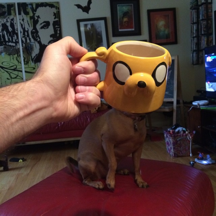 Illustration de l'article : Il transforme les membres de sa famille en super-h&eacute;ros gr&acirc;ce &agrave; ses mugs d&eacute;jant&eacute;s