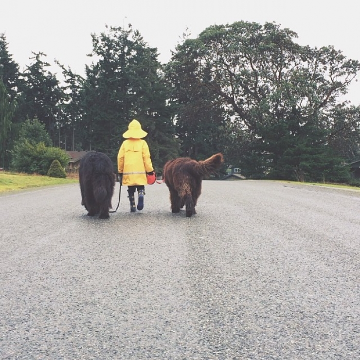 Illustration de l'article : Elle capture la formidable amitié qui lie son fils aux animaux