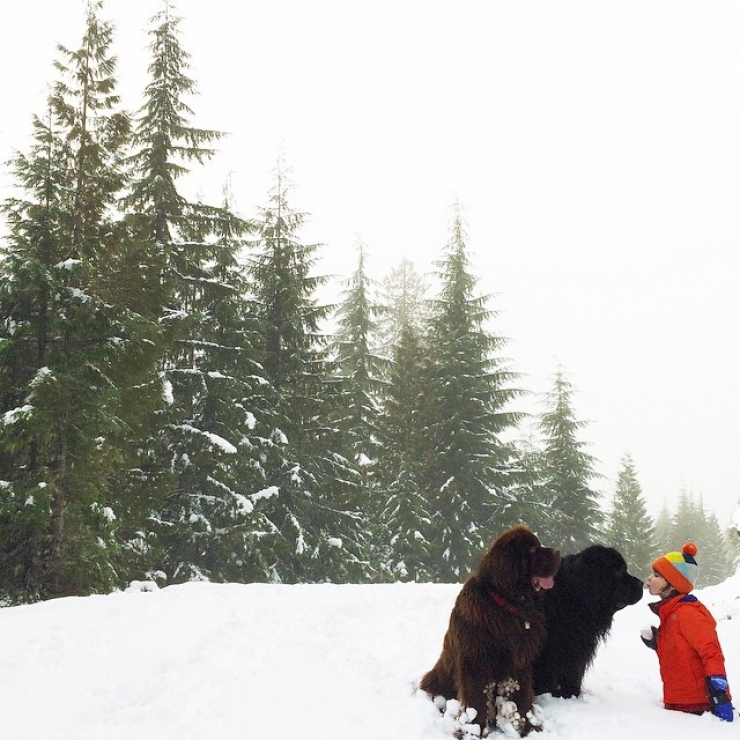 Illustration de l'article : Elle capture la formidable amitié qui lie son fils aux animaux