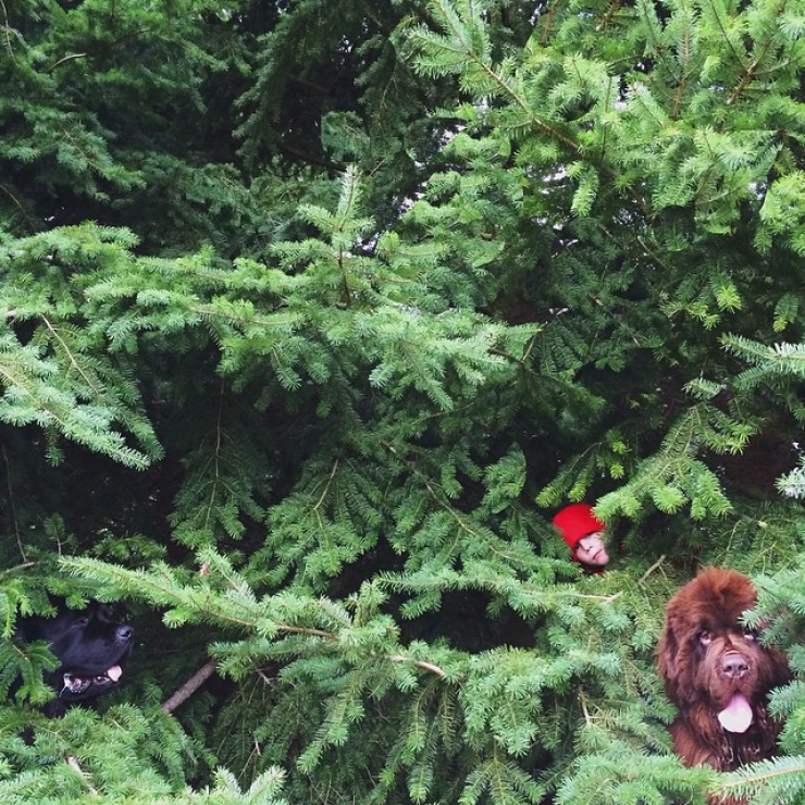 Illustration de l'article : Elle capture la formidable amitié qui lie son fils aux animaux