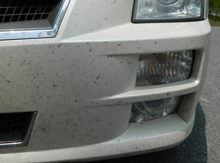 Illustration de l'article : Frottez une feuille d&rsquo;assouplissant sur le par-choc de votre voiture peut s&rsquo;av&eacute;rer &ecirc;tre une astuce brillante ! 