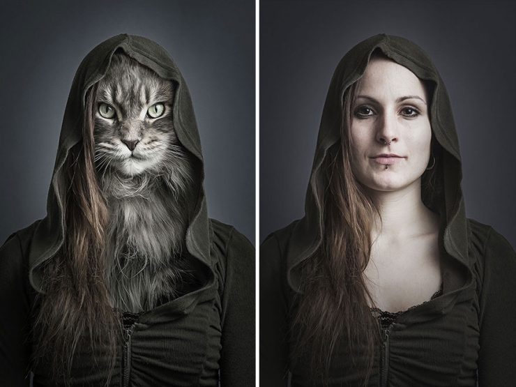 Illustration de l'article : Tels humains, tels chats : quand les matous sont habillés comme leurs propriétaires