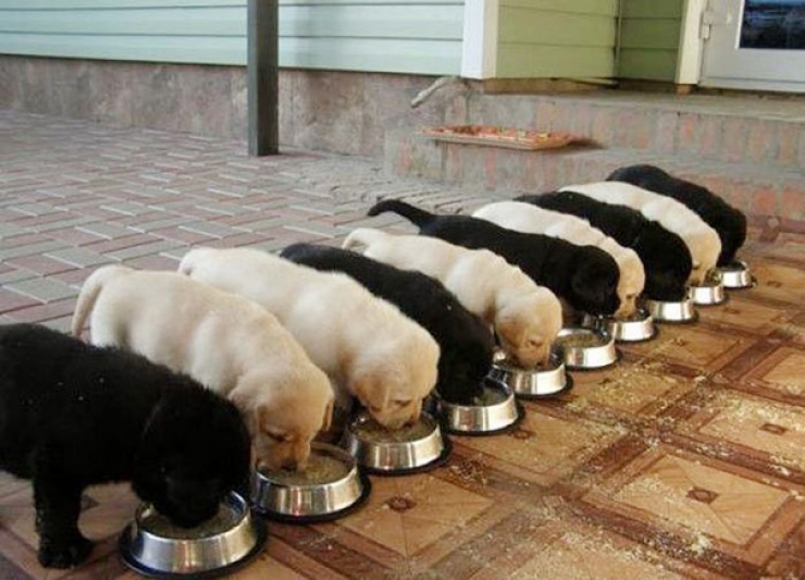 Illustration de l'article : Vous êtes perfectionnistes ? Ne regardez surtout pas les 17 photos qui suivent !