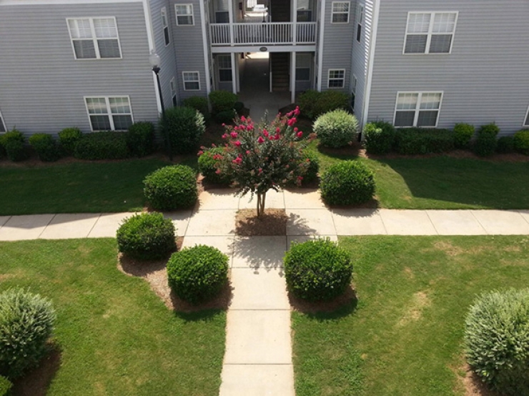 Illustration de l'article : Vous êtes perfectionnistes ? Ne regardez surtout pas les 17 photos qui suivent !