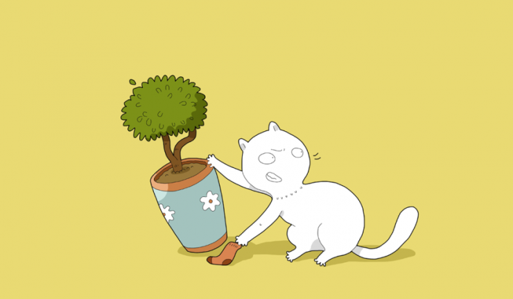 Illustration de l'article : 10 choses que fait mon chat quand il est seul &agrave; la maison...