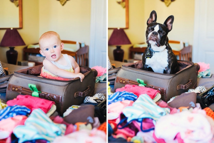 Illustration de l'article : Elle photographie sa fille et son chien avec les mêmes poses, décors et vêtements