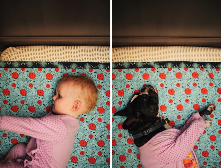 Illustration de l'article : Elle photographie sa fille et son chien avec les mêmes poses, décors et vêtements