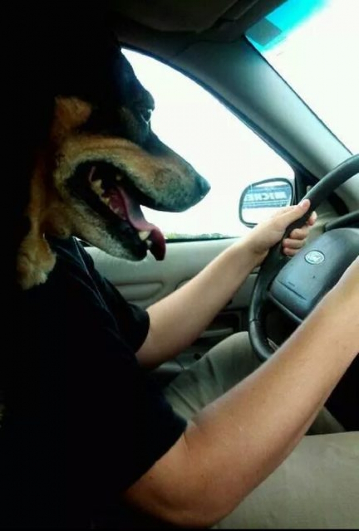 Illustration de l'article : Ces 12 animaux sont champions de l'illusion d'optique...