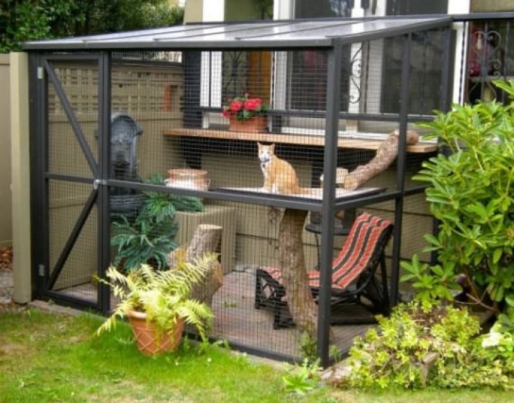 Illustration de l'article : Vous aimez les Patio et vous avez un chat ? Vous allez adorer le Catio...