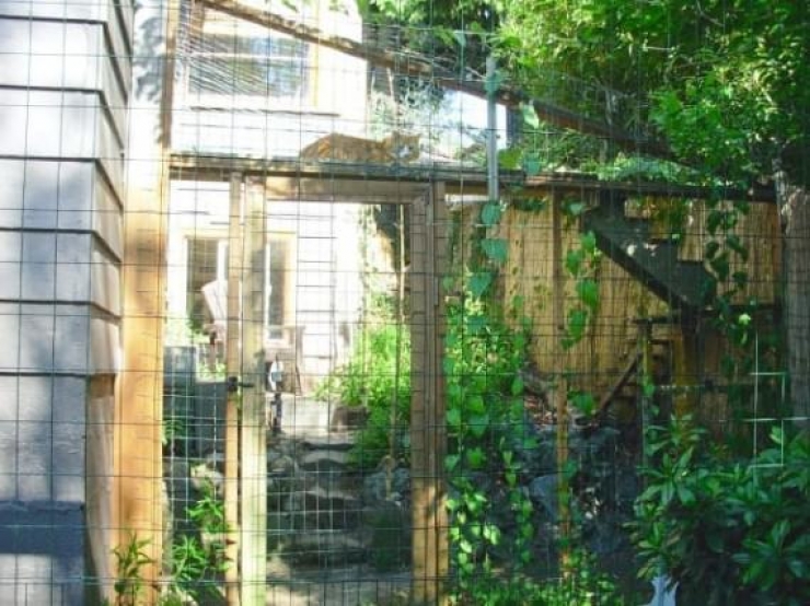 Illustration de l'article : Vous aimez les Patio et vous avez un chat ? Vous allez adorer le Catio...