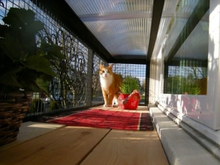 Illustration de l'article : Vous aimez les Patio et vous avez un chat ? Vous allez adorer le Catio...