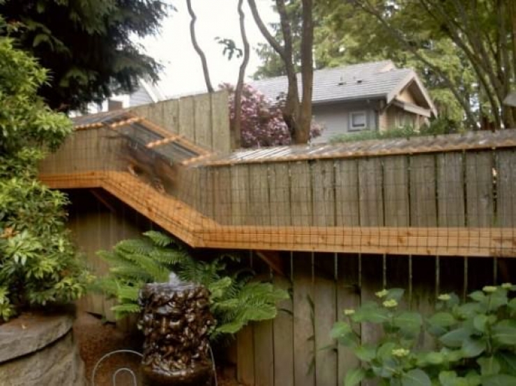 Illustration de l'article : Vous aimez les Patio et vous avez un chat ? Vous allez adorer le Catio...